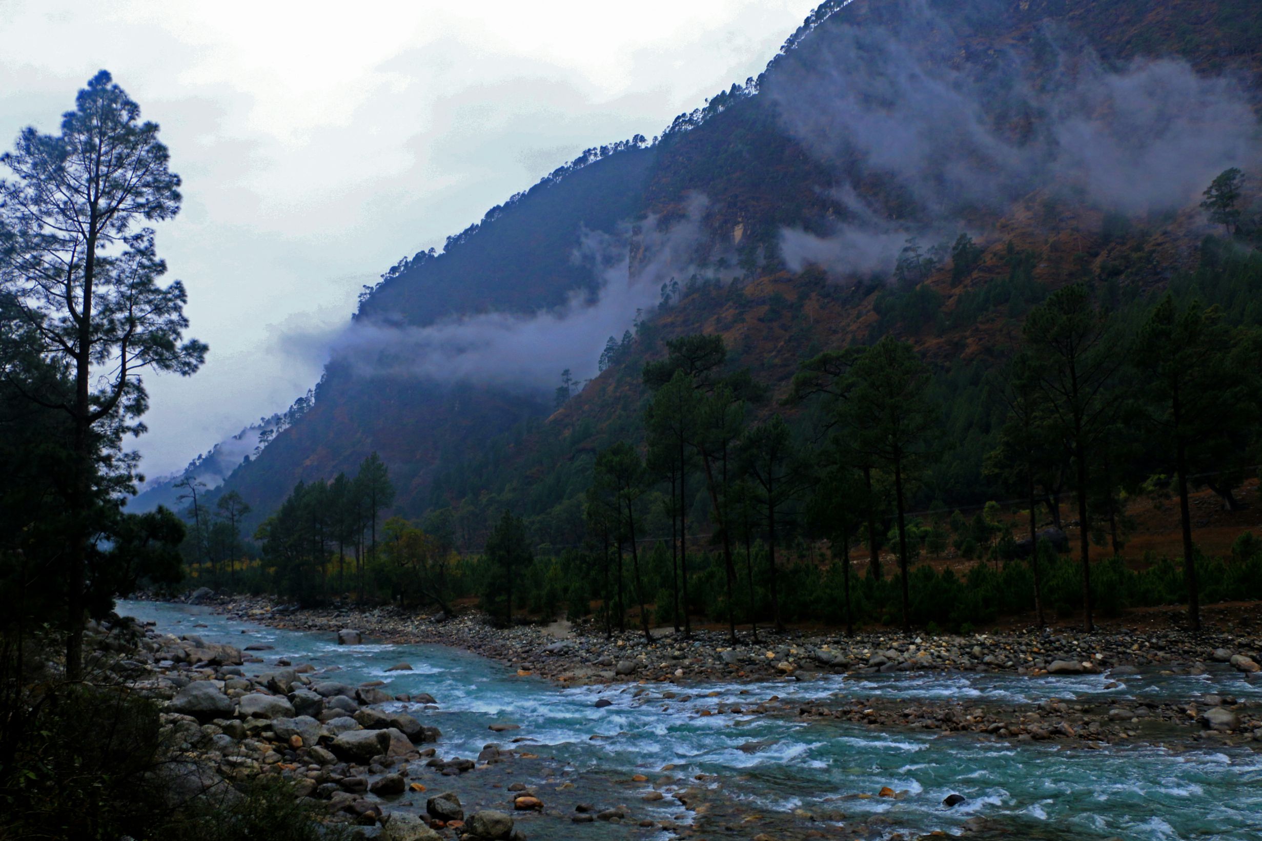Misty Hills. Quiet Lanes. Slow Mountain Days Together.