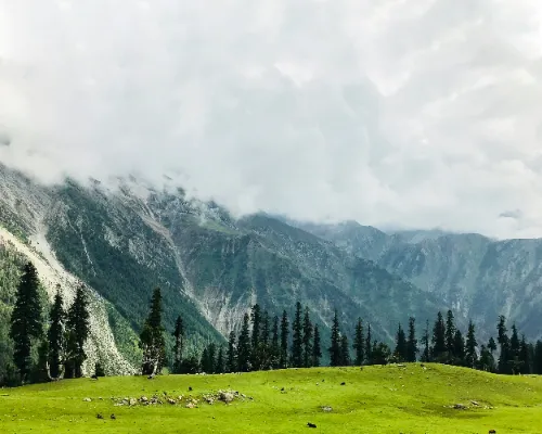 Kashmir Gallery Image 4