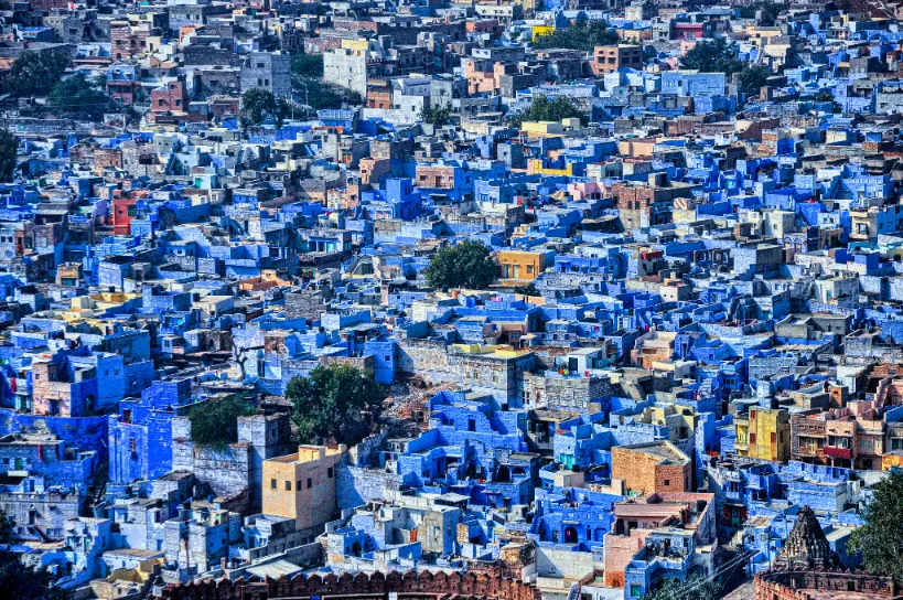 Rajasthan Gallery Image 4