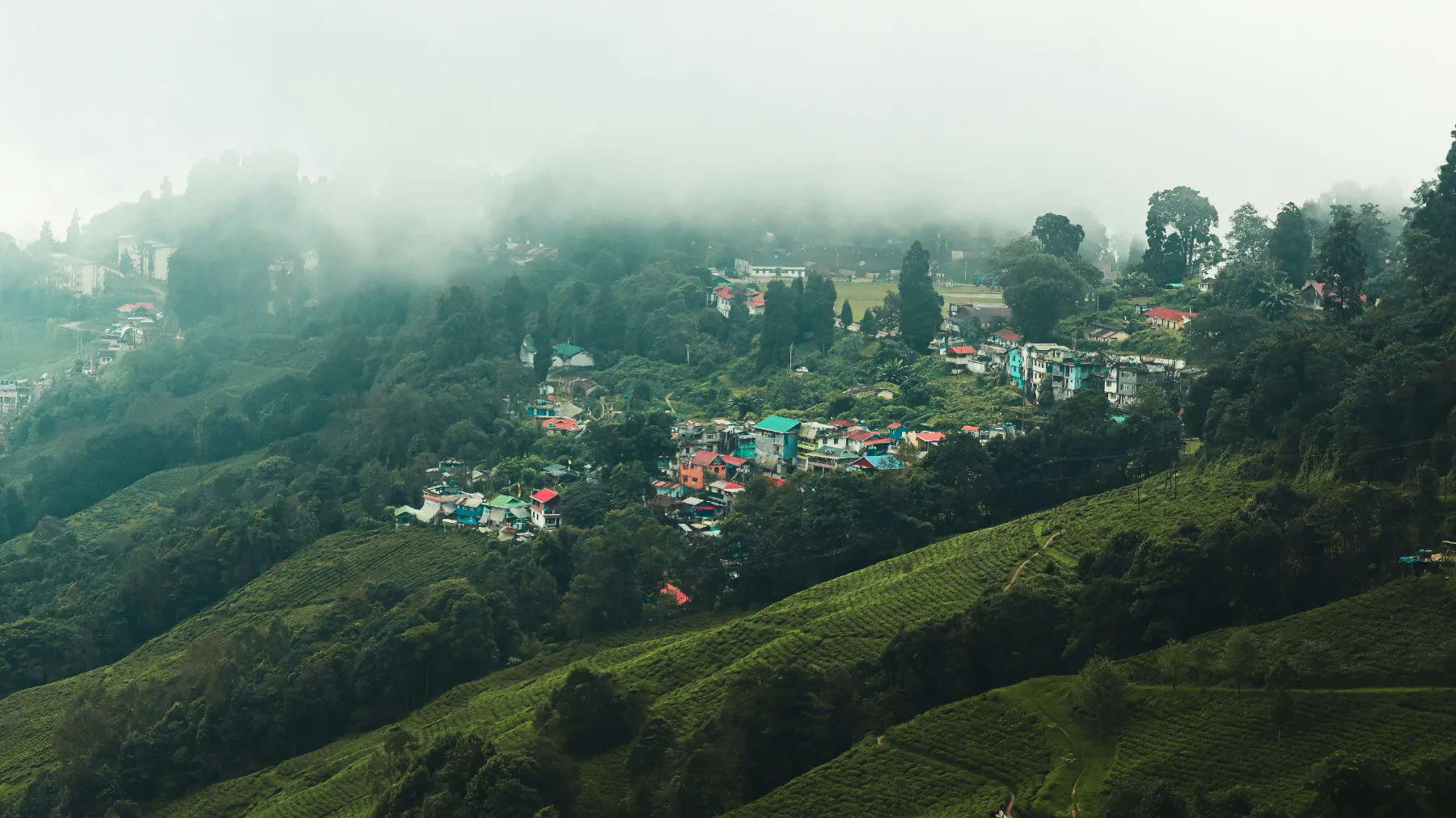 Darjeeling Gallery Image 3